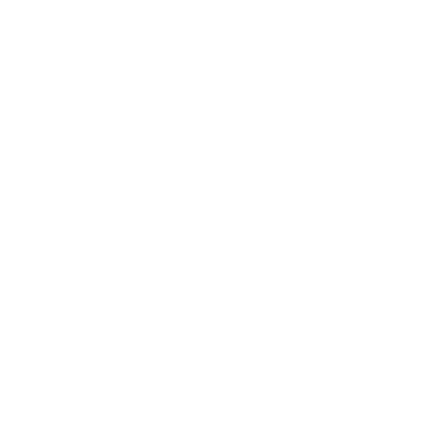 discord icon